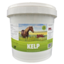 Basic Kelp 1kg