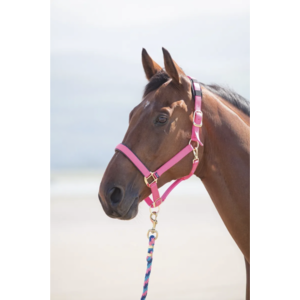 Shires Nylon Halter- Small Horse