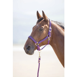 Shires Nylon Halter- Small Horse