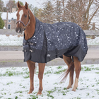 Noble Guardsman Turnout Blanket, 340g - North Forty Feed & Farm Supply