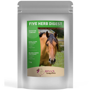 Riva's Remedies Five Herb Digest