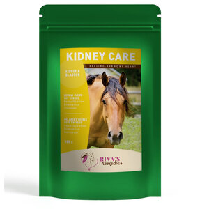 Riva's Remedies Kidney Care