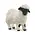 Valais Blacknose Sheep