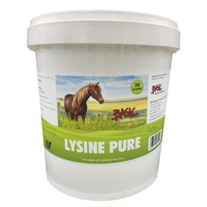 Basic Lysine 5kg
