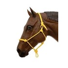 Hibrow Rope Halter