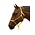 Hibrow Rope Halter