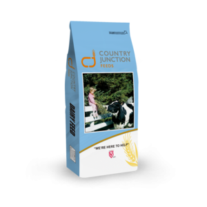 Dairy Cow Ration 16% - 20kg