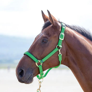 Shires Nylon Halter- Horse