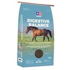 Purina Digestive Balance 20kg