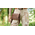 Harper Cross Body - Walnut