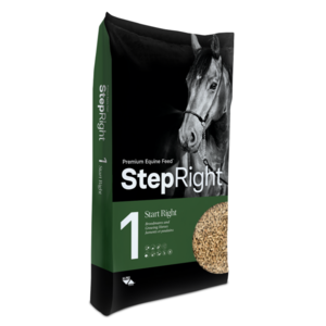 Hi-Pro Feeds Step1 Start Right