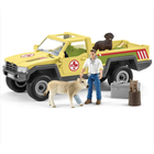 Veterinarian Visit to the Farm