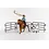 Cowgirl Team Roping Fun