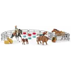 Rodeo Show