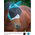 Shires Horse Fly Mask w/ Ears