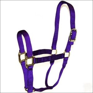 Hamilton Yearling Halter