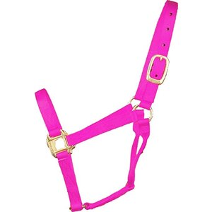 Hamilton Yearling Halter