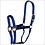 Hamilton Yearling Halter