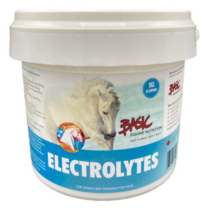Basics Electrolytes