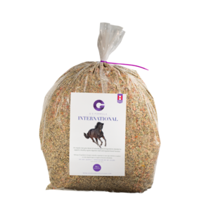 G's International for Horses