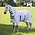 Shires Asker Fly Sheet