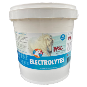 Basics Electrolytes