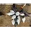 Country Junction Feeds Petes Feed Organic Grower (19%) - 20 kg