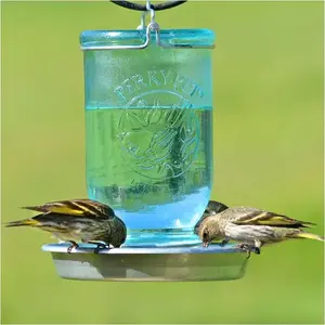 Perky-Pet Mason Jar Waterer 32oz