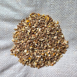 Hi-Pro Feeds Hi-Pro Classic Scratch