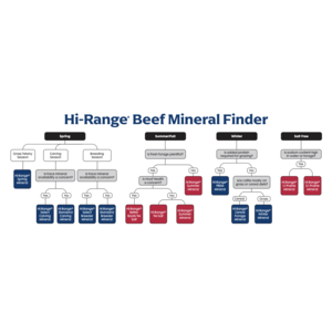 Hi-Pro Winter Beef Mineral (1:1)
