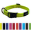 Utility Classic Collar day glo