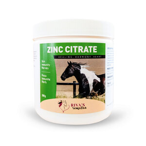 Zinc Citrate 100g