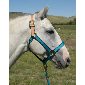 Burwash Ultimate Breakaway Halter