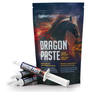 Dragon Paste calming supplement 4x30ml