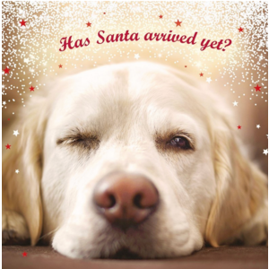 Waiting For Santa Christmas Card - Single