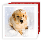 Christmas Pups Card - Single
