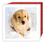 Christmas Pups Card - Single