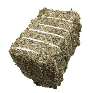 Compressed Square Hay Bale - Elite Blend 17kg (Bagged)