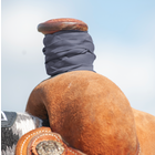1" Classic Equine Premium Dally/Roper Wraps