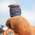 1" Classic Equine Premium Dally/Roper Wraps