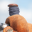 1" Classic Equine Premium Dally/Roper Wraps