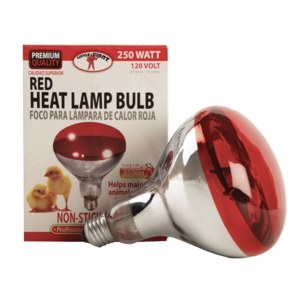 250W Heat Lamp Bulb