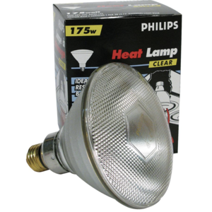 175W Heat Bulb