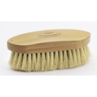 Wood Back Dandy Brush with Tampico Bristles