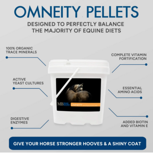 Mad Barn Mad Barn Omneity