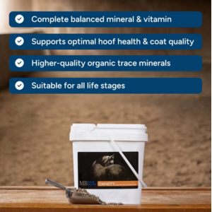 Mad Barn Mad Barn Omneity