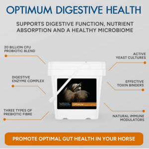 Mad Barn Mad Barn Optimum 5kg