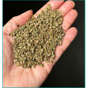 Elite Three Elite Hemp - Elite Evolve 25 lb