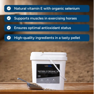 Mad Barn Mad Barn Natural E/ Organic sel 5kg