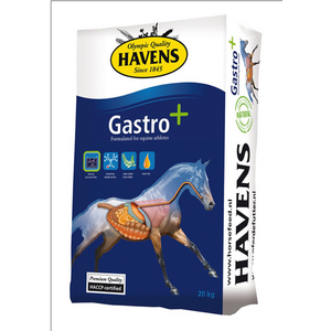 Havens Gastro +